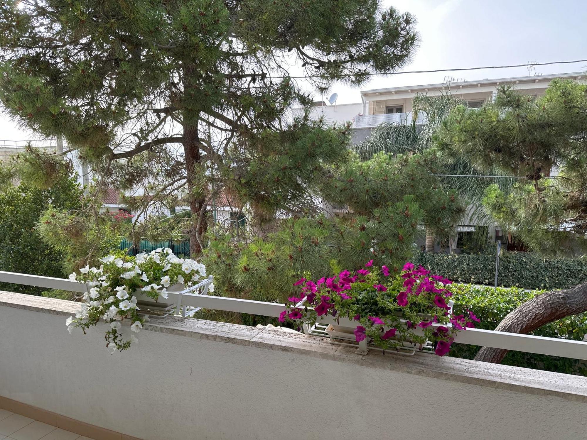 Villa Teresa Maria Porto Cesareo Exterior photo